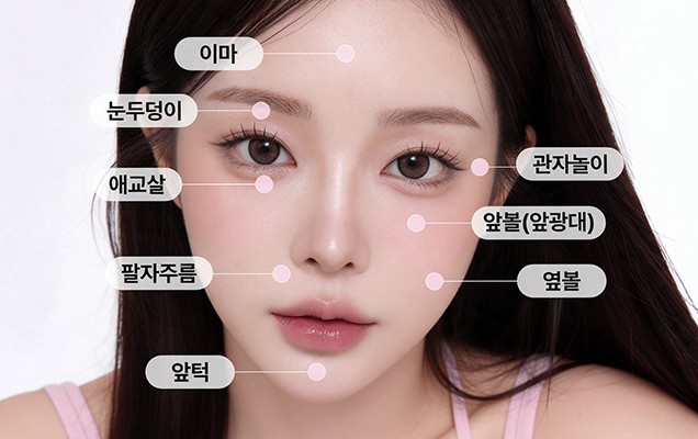 Various treatment areas — forehead, upper eyelids, aegyo-sal, nasolabial folds, chin, temples, front cheeks (front cheekbones), side cheeks