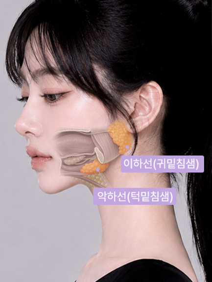 Salivary gland reduction and correction