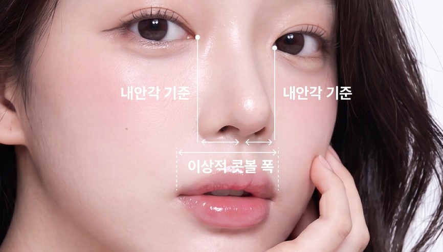 Golden ratio of the alae