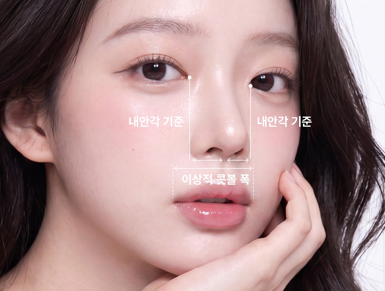 Golden ratio of the alae